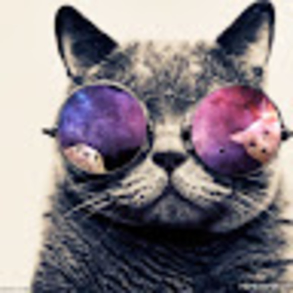 Meet your Posher, Max - Picture 1 of 1